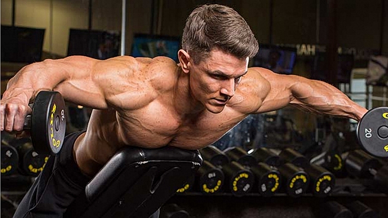 Élévations Latérales Oiseau